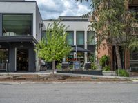 street corner with tree on the corner of the corner and a building behind it that is surrounded by multiple windows and a perforated brown lattice