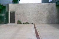 a fire hydrant near a building near other buildings with a gray wall and door