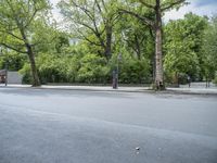 an empty street with a tall tree in the background and trees in the foreground