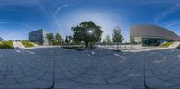 a reflection in a fish eye lens on the ground with buildings in the background and trees