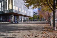 a row of benches that are on the sidewalk in front of a building with many trees