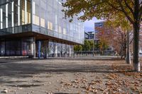 a row of benches that are on the sidewalk in front of a building with many trees