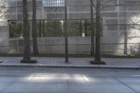 Urban Reflection: A Concrete Street in the Heart of the City