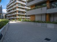 a skateboard is parked in the driveway of a building with trees and greenery