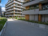 a skateboard is parked in the driveway of a building with trees and greenery