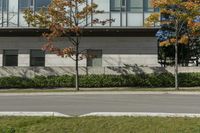 a street corner and an empty sidewalk in front of a white building with glass windows