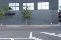 Urban Road: Asphalt and Low Building in New York City