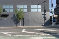 Urban Road: Asphalt and Low Building in New York City