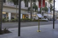 a city sidewalk with signage in front of shops and palm trees on both sides of the street