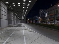 Urban Road at Night: Illuminated by Artificial Lighting
