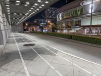 Urban Road at Night: Illuminated by Artificial Lighting