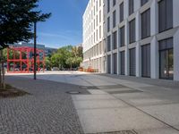 a sidewalk in front of some buildings with tall trees next to the street curb with a fire hydrant in between them