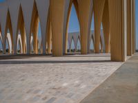 Urban Road in Egypt: Concrete Streets and Palm Trees