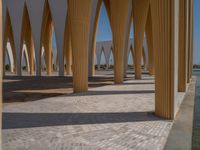 Urban Road in Egypt: Concrete Streets and Palm Trees