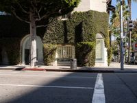 Urban Road in Los Angeles: Shop and Bar-lined Streets