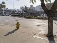 Urban Roads with Asphalt Yellow Streets in LA
