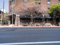 Urban Roads of Los Angeles: Asphalt and Architecture