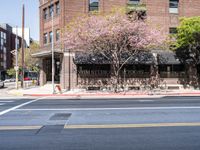 Urban Roads of Los Angeles: Asphalt and Architecture