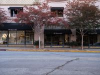 Urban Roads of Los Angeles: A Journey Through Asphalt