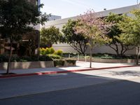 Urban Roadway in Los Angeles, California