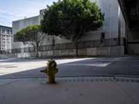 Urban Roadway in Los Angeles, USA