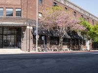 Urban Scene: Clear Skies Over Los Angeles Streets