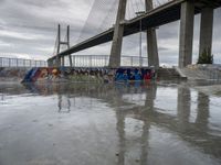 this is an urban skate park with graffiti painted on it's concrete ground and a bridge in the background