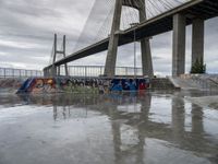 this is an urban skate park with graffiti painted on it's concrete ground and a bridge in the background