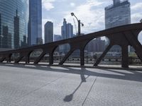 Urban Skyline of Chicago, Illinois: A Modern Metropolis