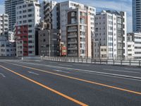 Urban Skyline of Tokyo: Bridges and Cloudy Day