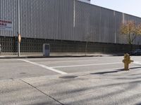 Urban Street in the City: Cars and Pedestrians