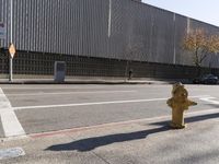 Urban Street in the City: Cars and Pedestrians