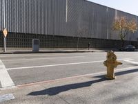 Urban Street in the City: Cars and Pedestrians