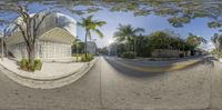 a street view of a palm tree next to a building and the road with buildings on both sides