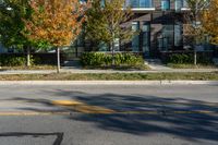 a fire hydrant on a tree lined street next to tall buildings and trees with autumn leaves in the window