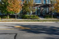 a fire hydrant on a tree lined street next to tall buildings and trees with autumn leaves in the window