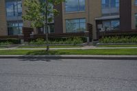 a road near a tall building with lots of windows and trees and plants in front