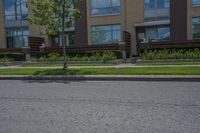 a road near a tall building with lots of windows and trees and plants in front