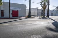 there is a red fire hydrant on the corner of a street with palm trees