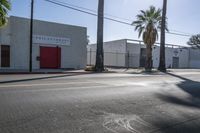 there is a red fire hydrant on the corner of a street with palm trees