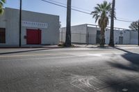 there is a red fire hydrant on the corner of a street with palm trees