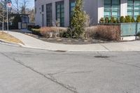 a street that has a stop sign in front of it and shrubbery in the foreground