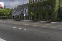 Urban Vertical Garden: Enhancing the City Wall