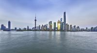Urban View: Skyscrapers in the Metropolis