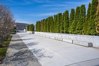 a walkway is lined with concrete blocks and plants next to trees and trees in the background