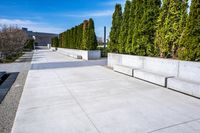 a walkway is lined with concrete blocks and plants next to trees and trees in the background