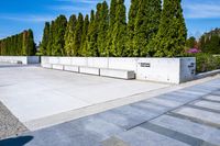 a walkway is lined with concrete blocks and plants next to trees and trees in the background