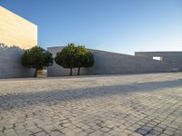 a walkway with three tree's on it between two smaller buildings on a sunny day