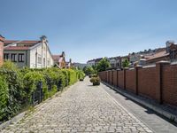 a brick street with tall buildings, shrubs and plants along it's side walk