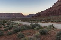 the desert is covered with dirt, bushes and trees at sunset in the distance is the rocky landscape and cliffs